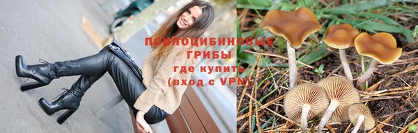синтетический гашиш Кинешма